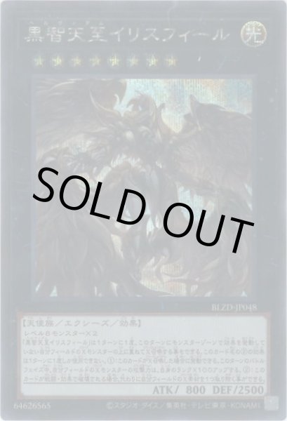 画像1: 黒智天至イリスフィール (1)