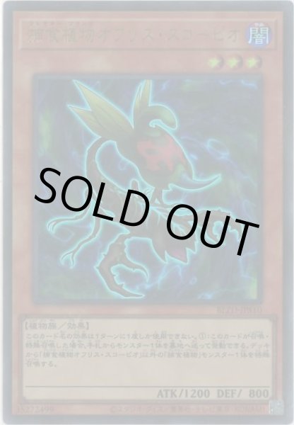 画像1: 捕食植物オフリス・スコーピオ（プレデタープランツ） (1)