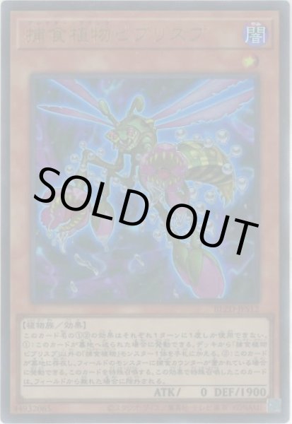 画像1: 捕食植物ビブリスプ（プレデタープランツ） (1)