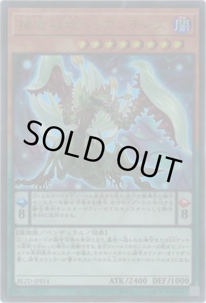 画像1: 捕食植物トリアンティス（プレデタープランツ） (1)