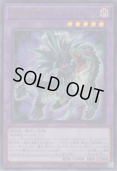 画像1: 捕食植物アンブロメリドゥス（プレデタープランツ） (1)