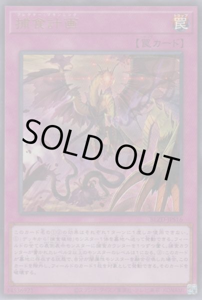 画像1: 捕食計画（プレデター プランニング） (1)