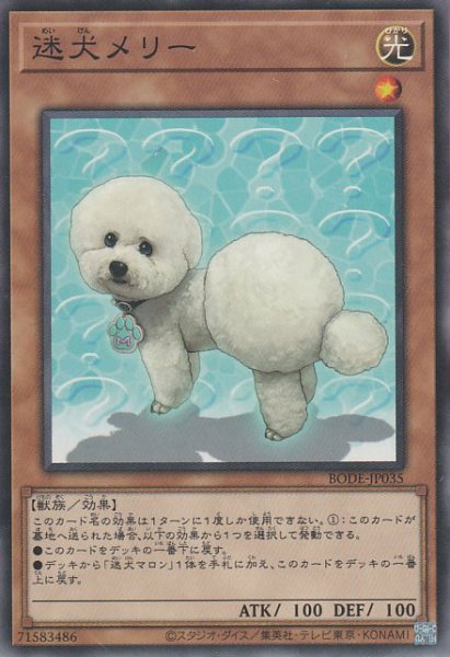 画像1: 迷犬メリー (1)