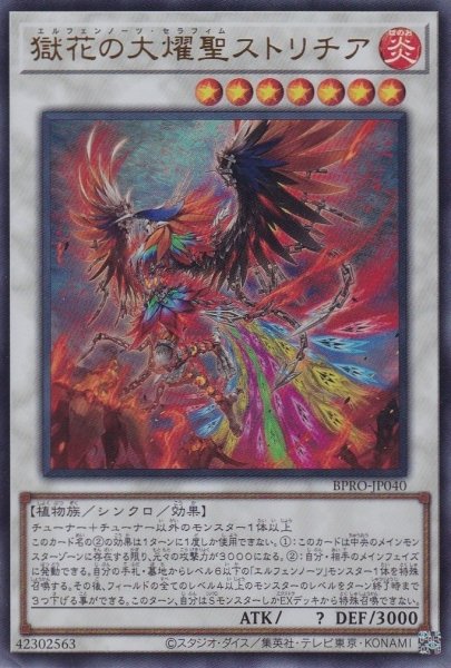 画像1: 獄花の大燿聖ストリチア（エルフェンノーツ） (1)
