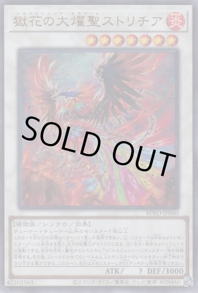 画像1: 獄花の大燿聖ストリチア（エルフェンノーツ） (1)