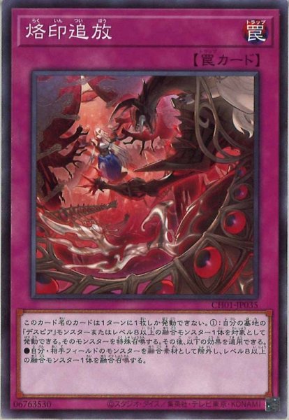 画像1: 烙印追放 (1)