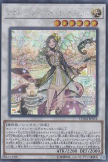 ブラック・マジシャン・ガール - 遊戯王専門：通販サイト ◇ティム中山