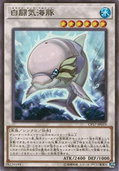 画像1: 白闘気海豚（ホワイト・オーラ・ドルフィン） (1)