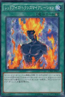 黒竜降臨 遊戯王専門 通販サイト ティム中山店直営 ブルーラビット