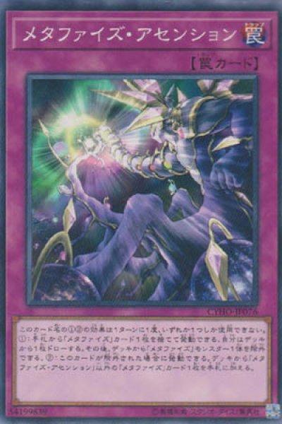 画像1: メタファイズ・アセンション (1)