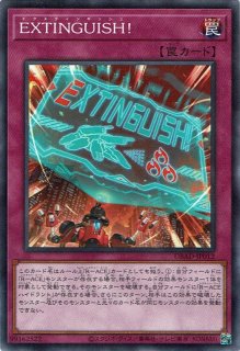 絶火の大賢者ゾロア(マギストス フレイム) - 遊戯王専門:通販 絶火の大賢者ゾロア(マギストス フレイム) - 遊戯王専門:通販