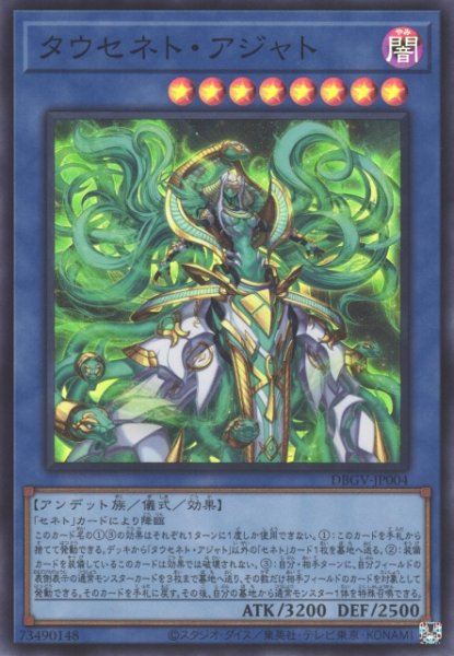 画像1: タウセネト・アジャト (1)