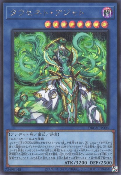 画像1: タウセネト・アジャト (1)