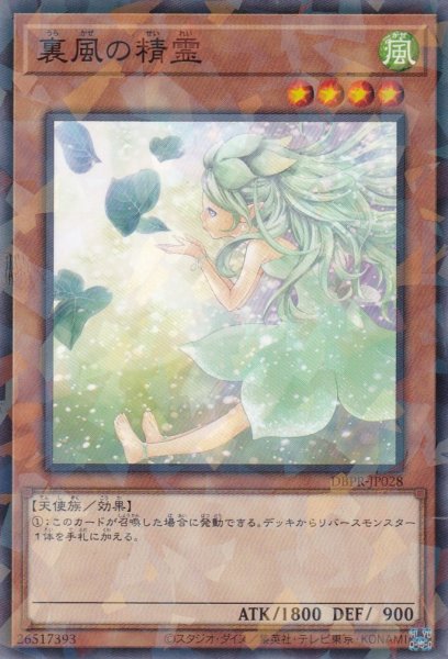 画像1: 裏風の精霊 (1)