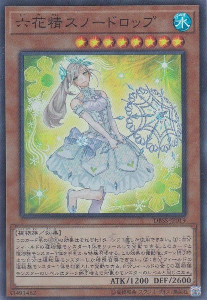 画像1: 六花精スノードロップ（りっかせい） (1)
