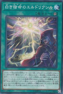 サイレント・ソードマン LV7 - 遊戯王専門：通販サイト