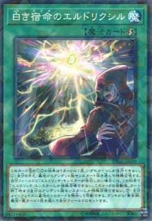狡猾な落とし穴 遊戯王専門 通販サイト ティム中山店直営 ブルーラビット