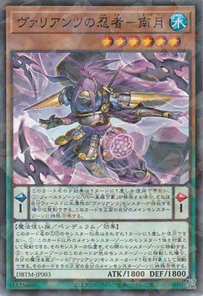 画像1: ヴァリアンツの忍者-南月(なつき) (1)