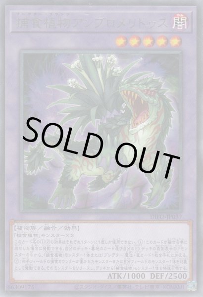 画像1: 捕食植物アンブロメリドゥス（プレデター・プランツ） (1)