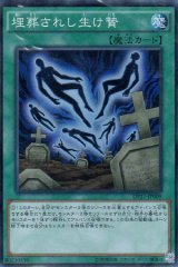 神聖騎士パーシアス ホーリーナイト 遊戯王専門 通販サイト ティム中山店直営 ブルーラビット