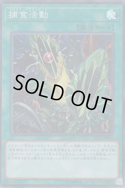 画像1: 捕食活動（プレデター・プラクティス） (1)