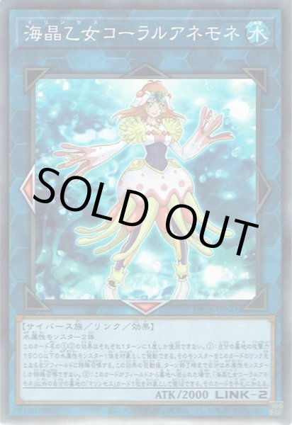 画像1: 海晶乙女 コーラルアネモネ（マリンセス） (1)
