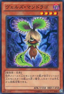 ヴェルズ・ケルキオン - 遊戯王専門：通販サイト ◇ティム中山店
