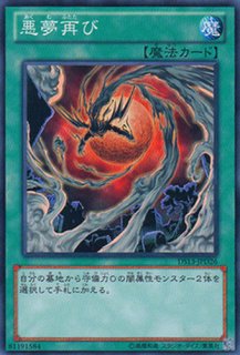 CNo.101 S・H・Dark Knight（カオスナンバーズ サイレント・オナーズ