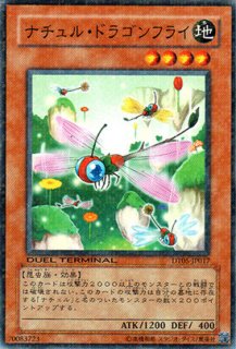 ナチュル・ロック - 遊戯王専門：通販サイト ◇ティム中山店直営