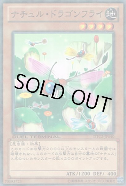 画像1: ナチュル・ドラゴンフライ (1)