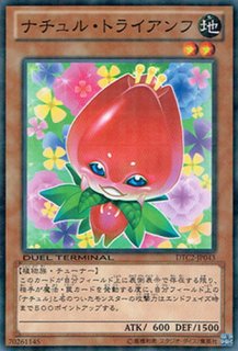 遊戯王 地縛神Wiraqocha Rasca ウィラコチャラスカレリーフ