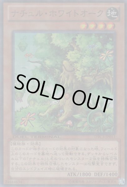 画像1: ナチュル・ホワイトオーク (1)