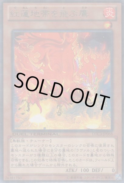 画像1: 紅蓮地帯を飛ぶ鷹 (1)