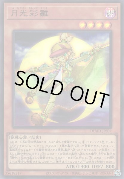 画像1: 月光彩雛（ムーンライト・カレイド・チック） (1)