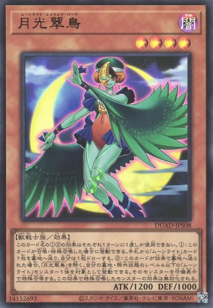 画像1: 月光翠鳥(ムーンライト・エメラルド・バード) (1)