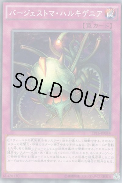 画像1: バージェストマ・ハルキゲニア (1)