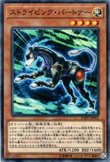 双星神 a-vida（アヴィダ） - 遊戯王専門：通販サイト ◇ティム