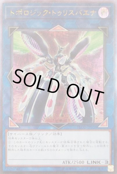 画像1: トポロジック・トゥリスバエナ (1)