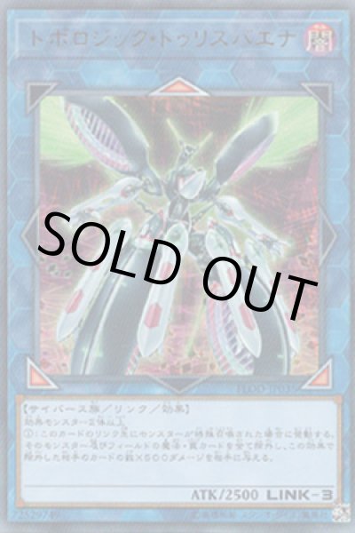 画像1: トポロジック・トゥリスバエナ (1)