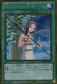 GS06（ゴールド・シリーズ2014） - 遊戯王専門：通販サイト