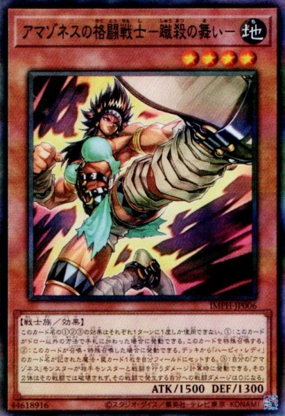 画像1: アマゾネスの格闘戦士－蹴殺の舞い- (1)