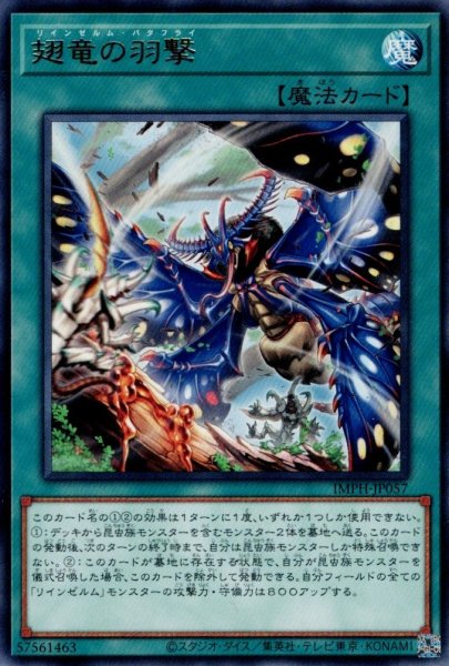 画像1: 翅竜の羽撃（リインゼルム） (1)