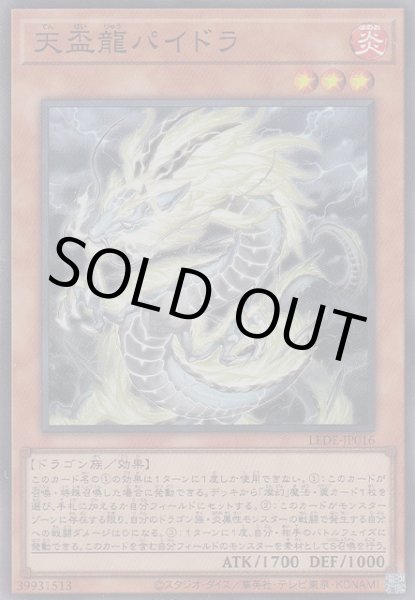 画像1: 天盃龍パイドラ(てんぱいりゅう) (1)