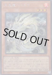 ☆天盃龍 - 遊戯王専門：通販サイト ◇ティム中山店直営