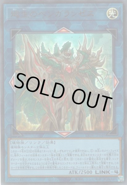 画像1: 廻生のベンガランゼス(かいせい) (1)