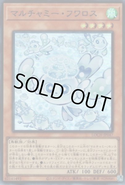 画像1: マルチャミー・フワロス (1)