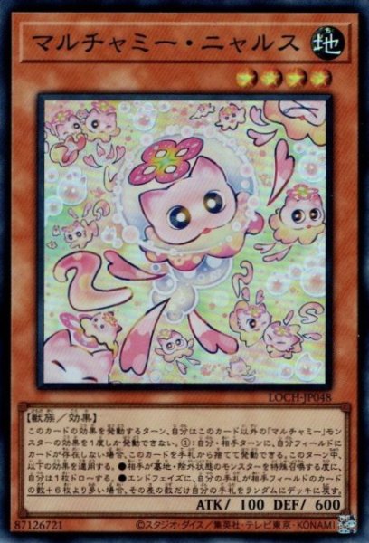 画像1: マルチャミー・ニャルス (1)