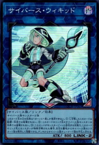 画像1: サイバース・ウィキッド (1)