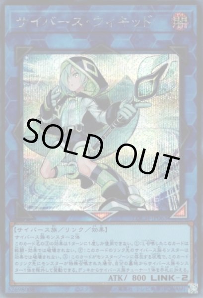 画像1: サイバース・ウィキッド (1)