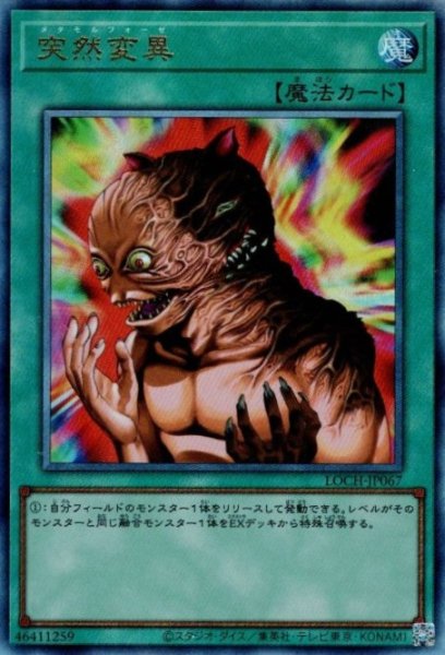 画像1: 突然変異（メタモルフォーゼ） (1)